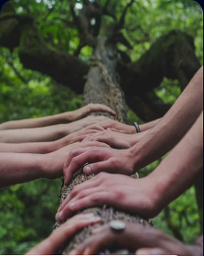 Authorized partnership and teamwork